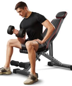 Heavy-Duty Foldable Weight Bench | 660lbs Capacity | 10-Level Adjustable